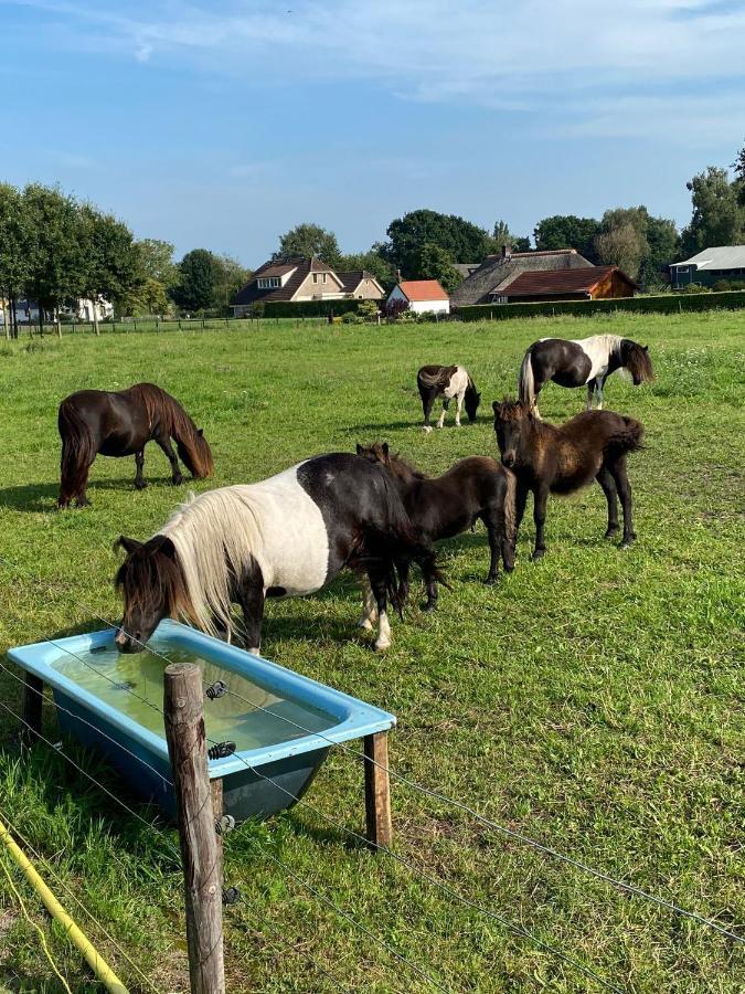 La Veluwe Bed & Breakfast *